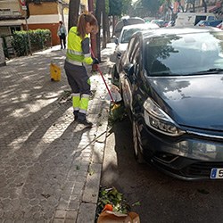 barrido_manual_2023.jpg