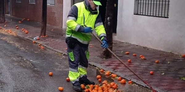 LIPASAM CONTRATA 60 OPERARIOS PARA LIMPIAR LA NARANJA CAÍDA POR LAS FUERTES PRECIPITACIONES DE LOS ÚLTIMOS DÍAS